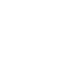 CASETORRI Stories